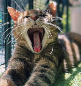 Imagen de 2025-05-22 a las 12.19.43_9a313310 1