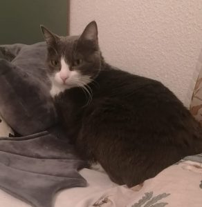 Imagen de WhatsApp 2025-05-22 a las 21.38.03_58d2cf40 1