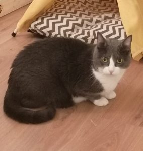 Imagen de WhatsApp 2025-05-22 a las 21.38.55_b9bad72a 1