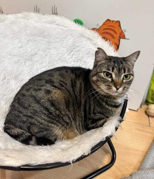 WhatsApp Image 2026-01-30 at 10.51.55 PM